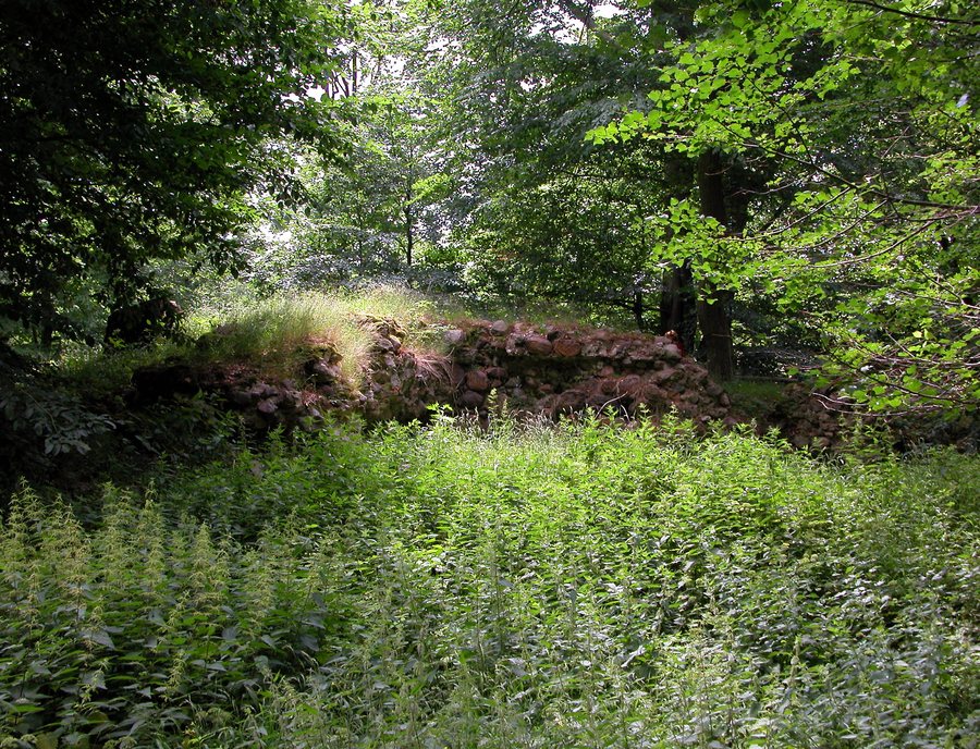Weisdin castle ruins
