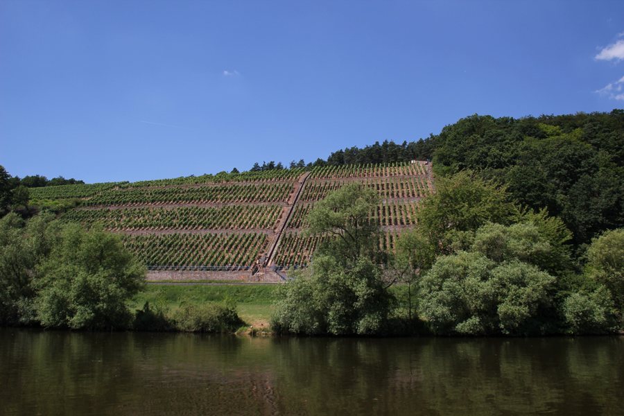 File:Bürgstadt Weinberg2.jpg