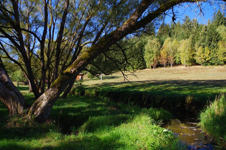 Naturpark Harz Sachsen-Anhalt - Rappbode bei Trautenstein (17)
