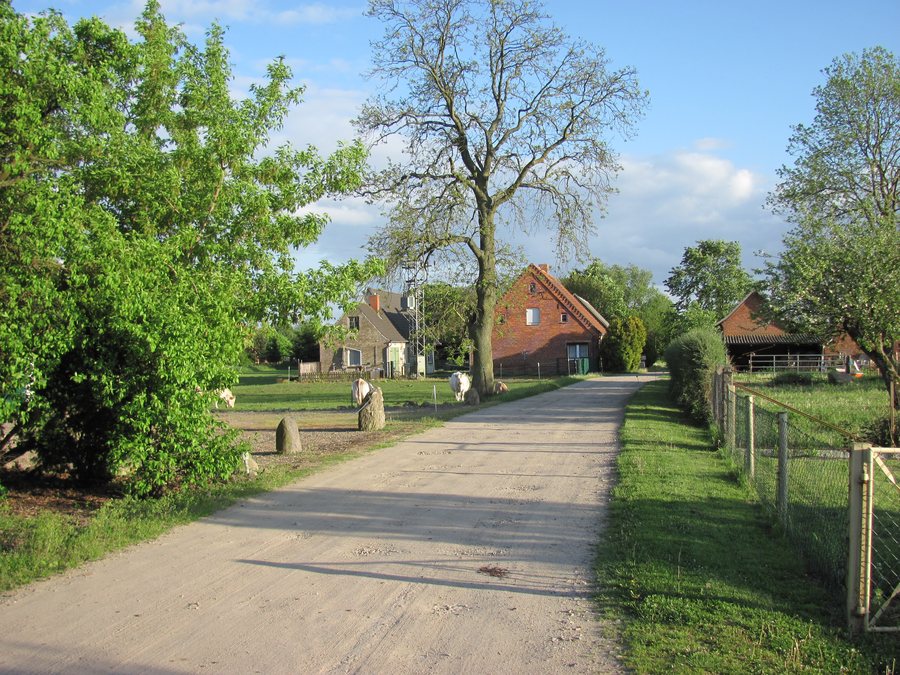 File:Alt Gaarz Dorfstraße 1.jpg