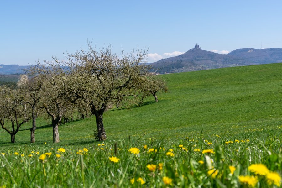 File:Gebiete zwischen Bisingen Haigerloch und Rosenfeld DSC0290.jpg