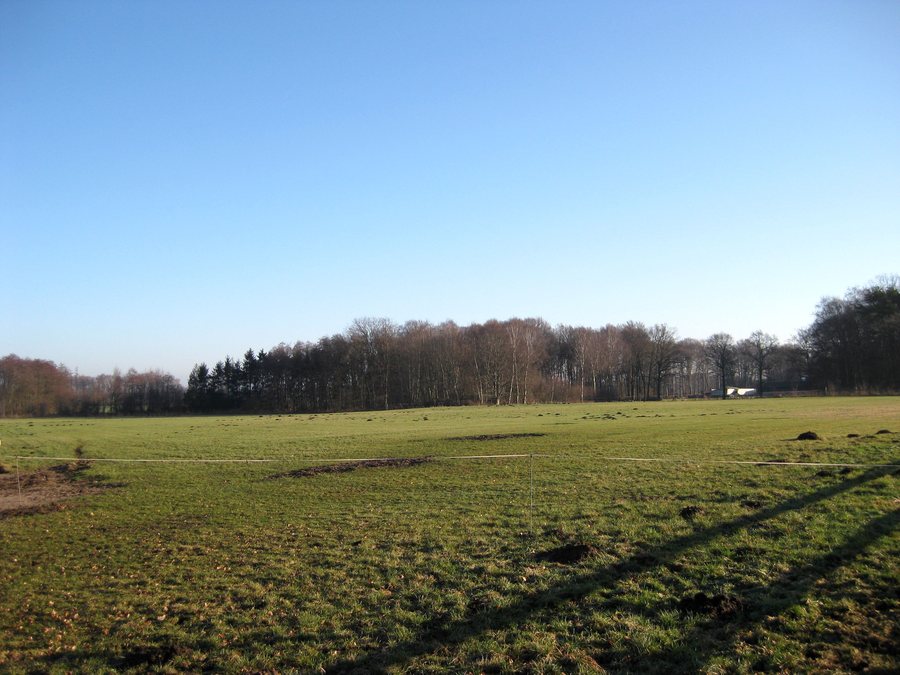 File:Herzebrock-Clarholz-NSG Mersch.jpg