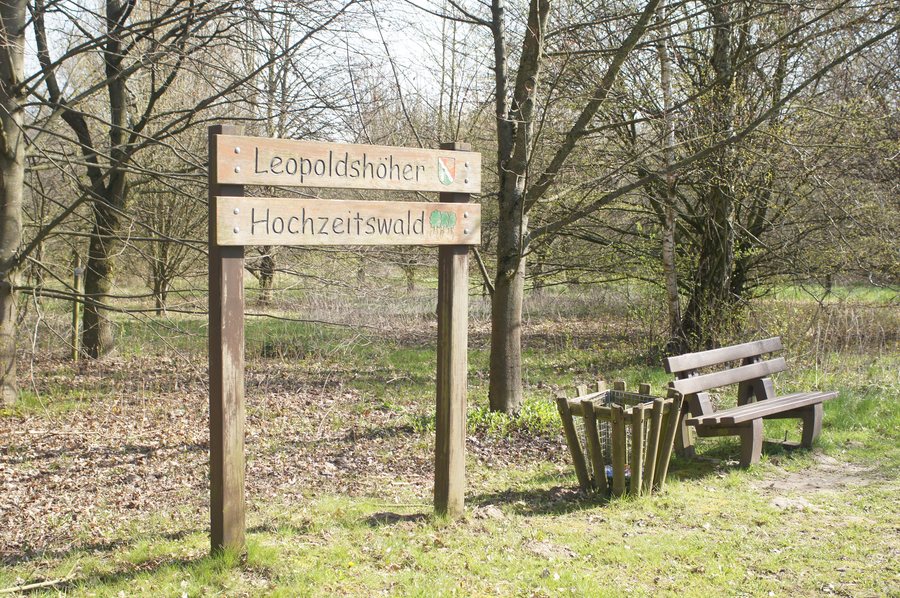 File:Hochzeitswald Leopoldshöhe.JPG