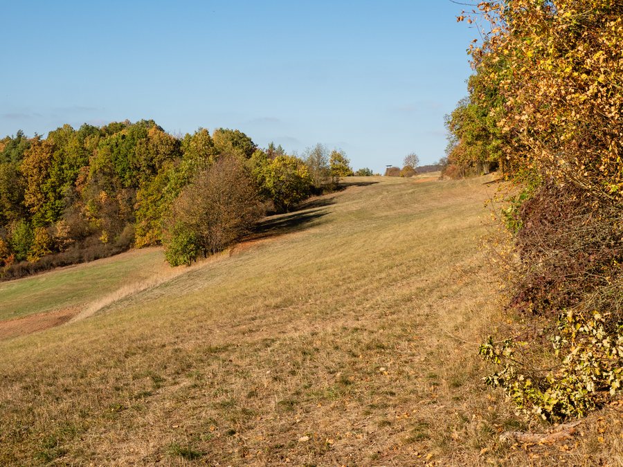 Slope of the Hohe Wann near Krum