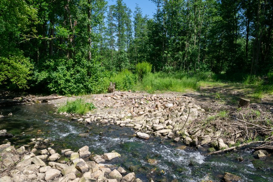 File:Hiddenhausen - 2018-05-21 - HF-031 Bustedter Wiesen (01).jpg