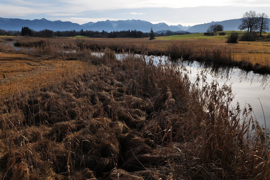 File:Ach (Ammer) am Staffelsee bei Uffing.jpg