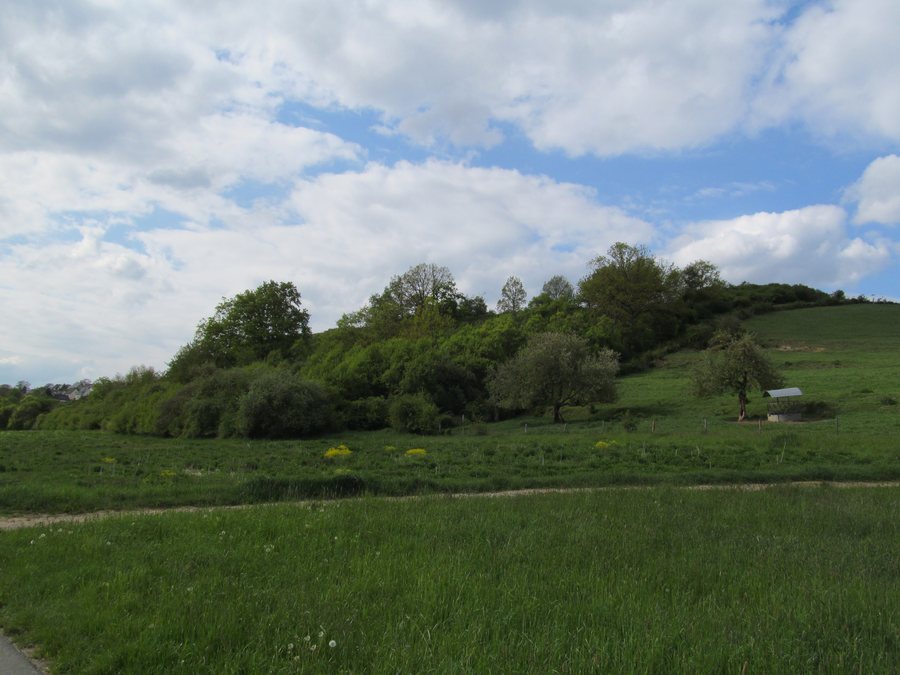 Bleidenberg nature reserve near Niederbrechen