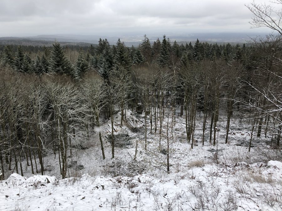 File:Blick vom Plößberg Gipfel.jpg