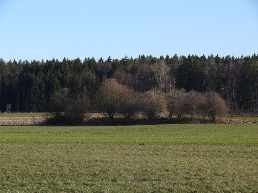 Viereckschanze südlich Neufahrn TÖL - 2023-03-16 - 431a.jpg