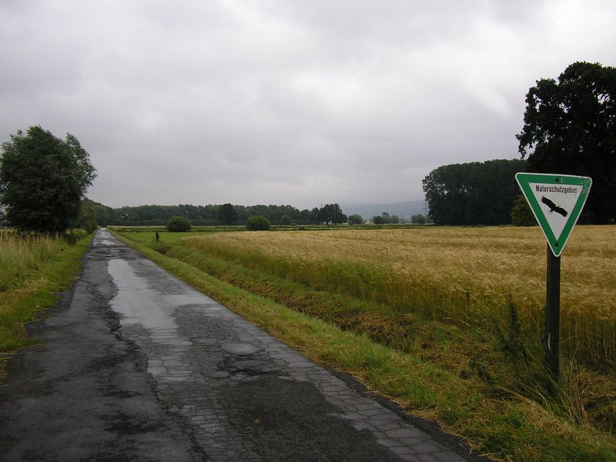 File:Falk Oberdorf Lübbecke Nord1.JPG