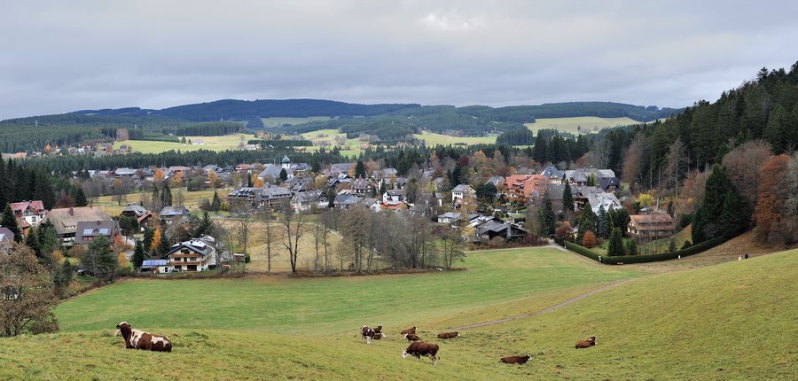File:Schwarzwald Hinterzarten 01.jpg
