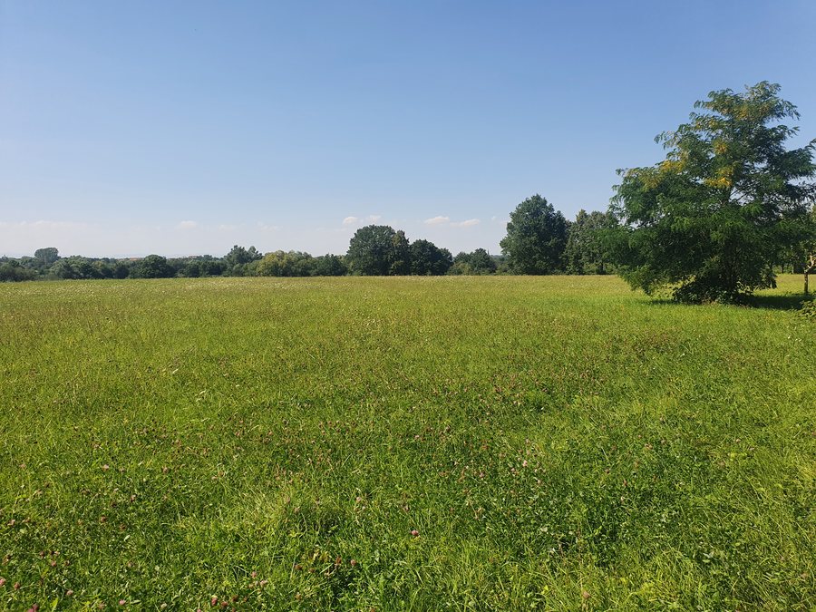Naturdenkmal Magerwiese Pfarrwald Bad Schönborn