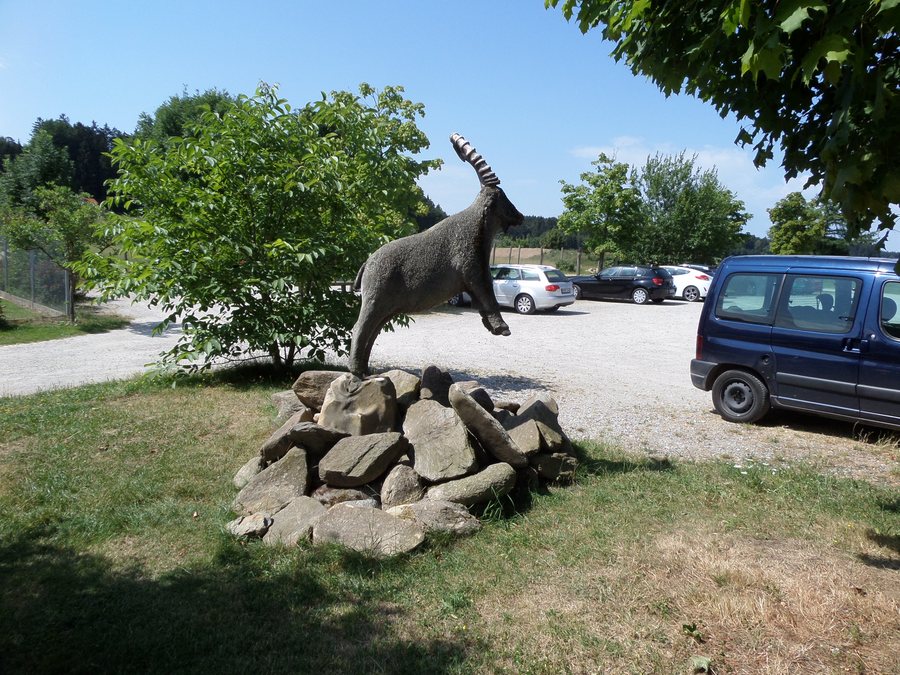 Wildfreizeitpark Oberreith, 83567 Unterreit