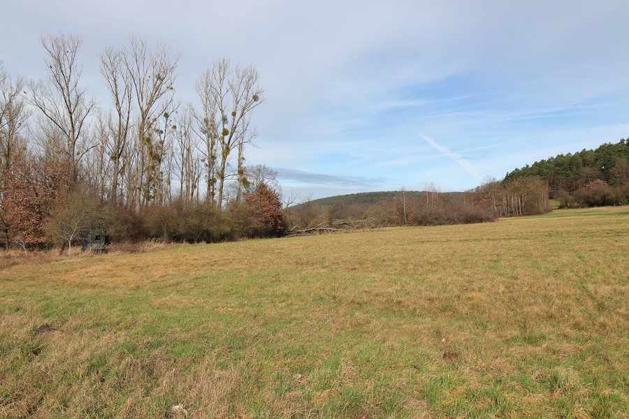 File:Kleinwallstadt ND05667 gLB676 L 09 Feuchtwiesen am Weibling.jpg