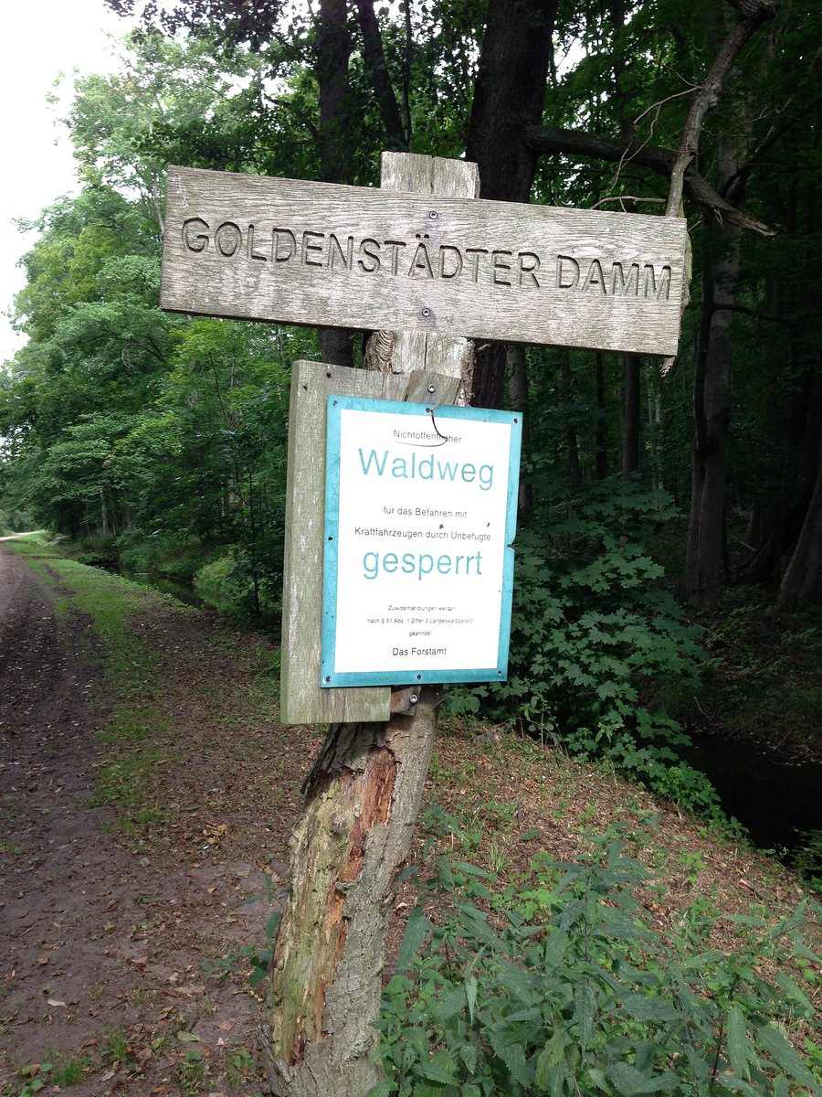 File:Friedrichsmoor Straßenschild Goldenstädter Damm Holz 2013-08-27 2.JPG