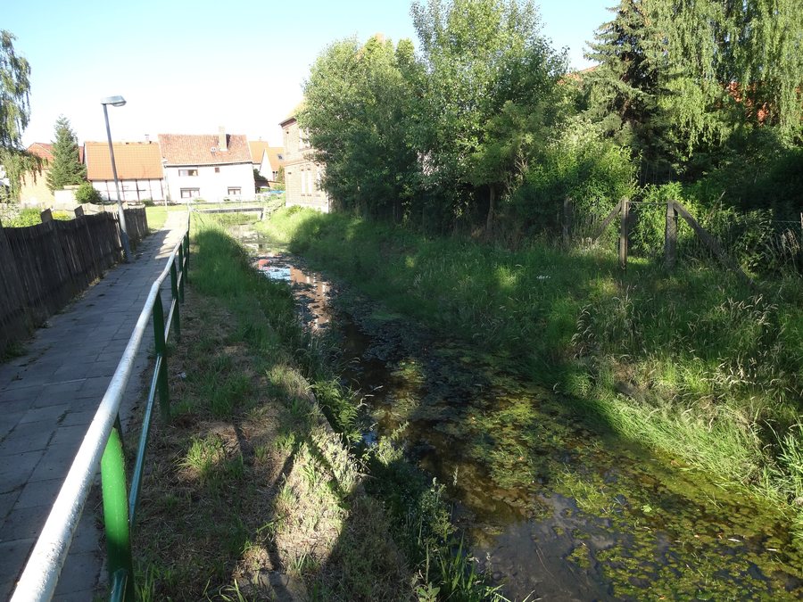 File:Goldbach harsleben 2019-06-28 (1).jpg