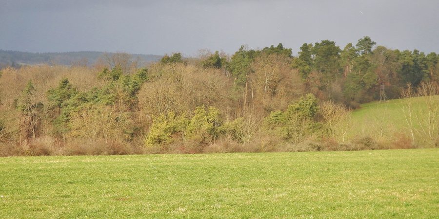 File:Aussicht () Land.Tour.Pfadfinder, Vom mittelalterlichen Weil der Stadt über heckengesäumte Pfade zu weiten Aussichten, Kraftorten und verwunschenen Plätzen. Die wunderbar wandelbare Würm führt Sie ab Schafhausen zu - panoramio.jpg