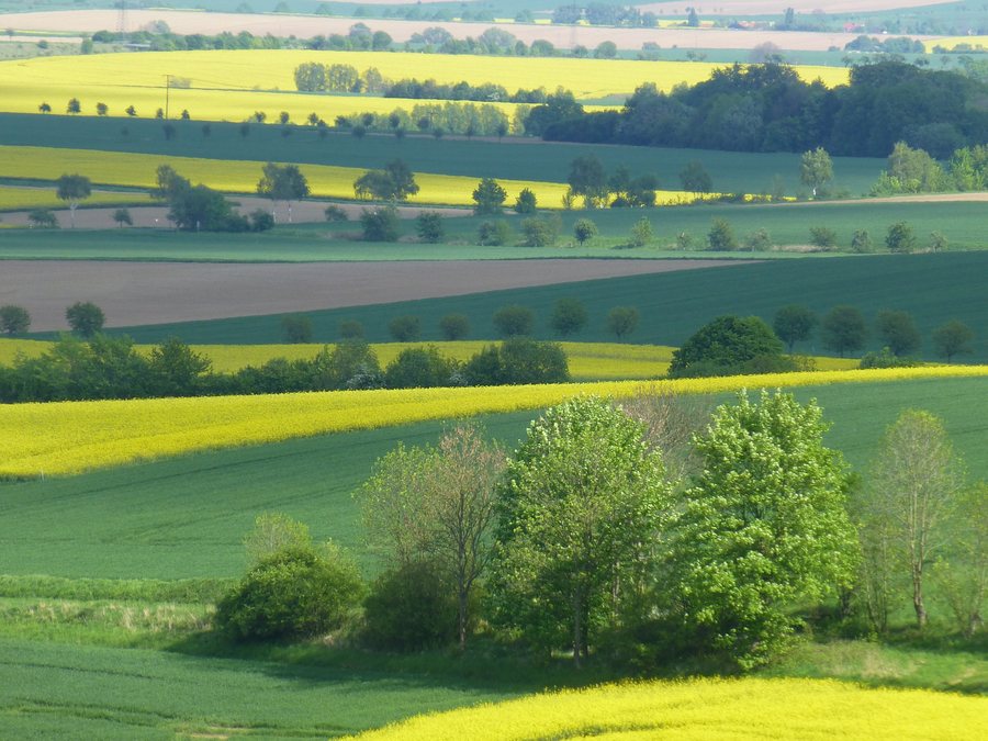 File:Am Rennstieg zwischen Eberholzen und Westfeld - panoramio (1).jpg