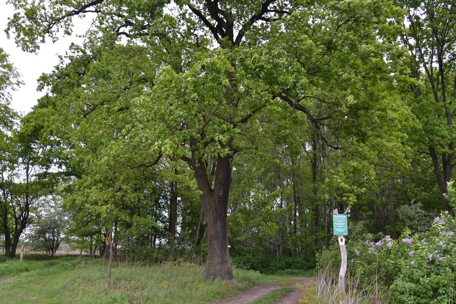 Landschaftsschutzgebiet Niederungssystem des Fredersdorfer Mühlenfließes und seiner Vorfluter