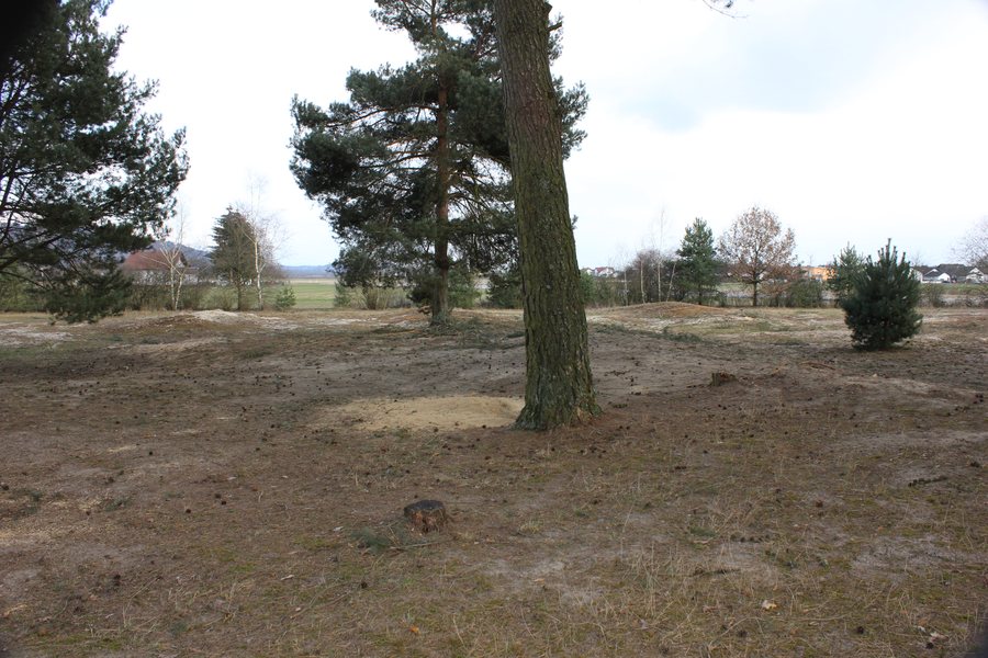 Düne in Sand, Gmde Aiterhofen