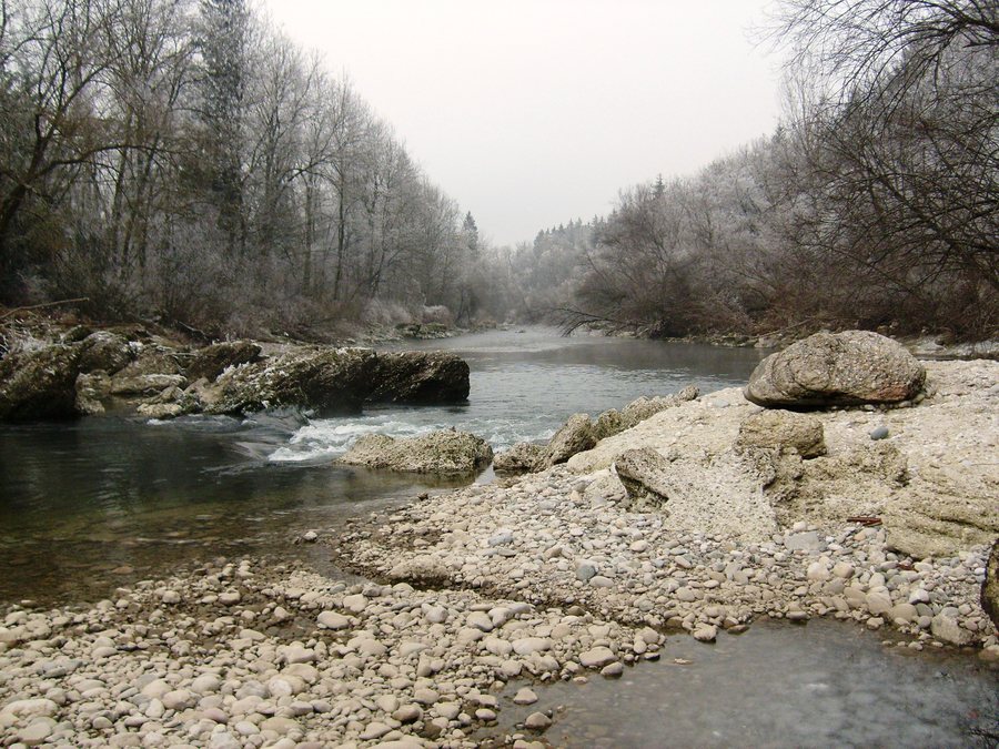 File:AlzTacherting.jpg