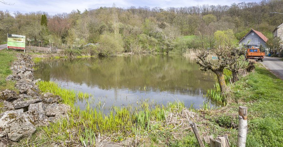 Dorfweiher in Neuhof (Michelau im Steigerwald)