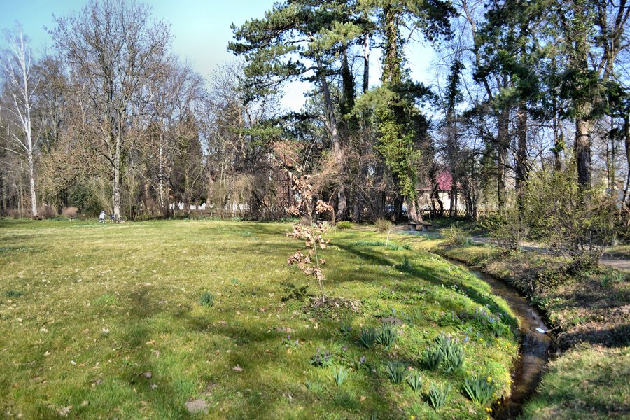 Park (Wasserleben) DSC 6847