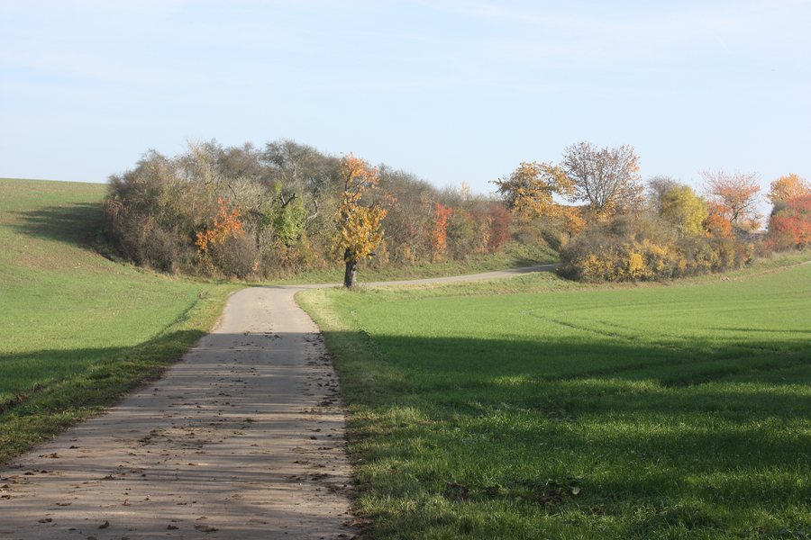 File:Oberheldrungen, Herbstlandschaft.jpg