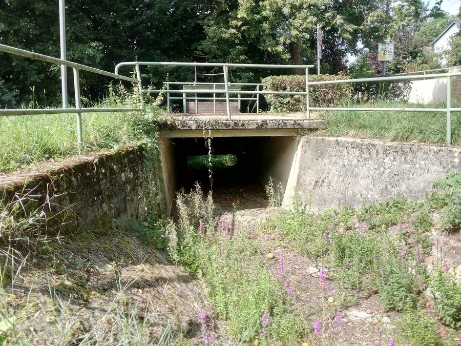 File:Walzbach, Brücke am HRB Brühl.jpg