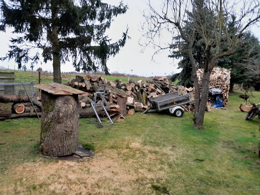 File:Holzvorrat (Fincken).jpg