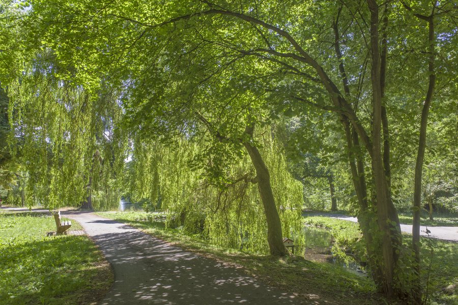 Im Elisabethpark in Bad Liebenstein