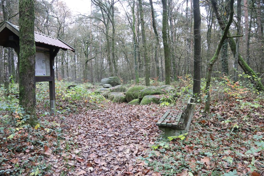 File:NLD Großsteingrab Freren 1 01.jpg