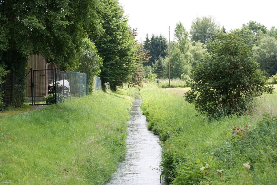 File:Laugna, Welden 1.jpg