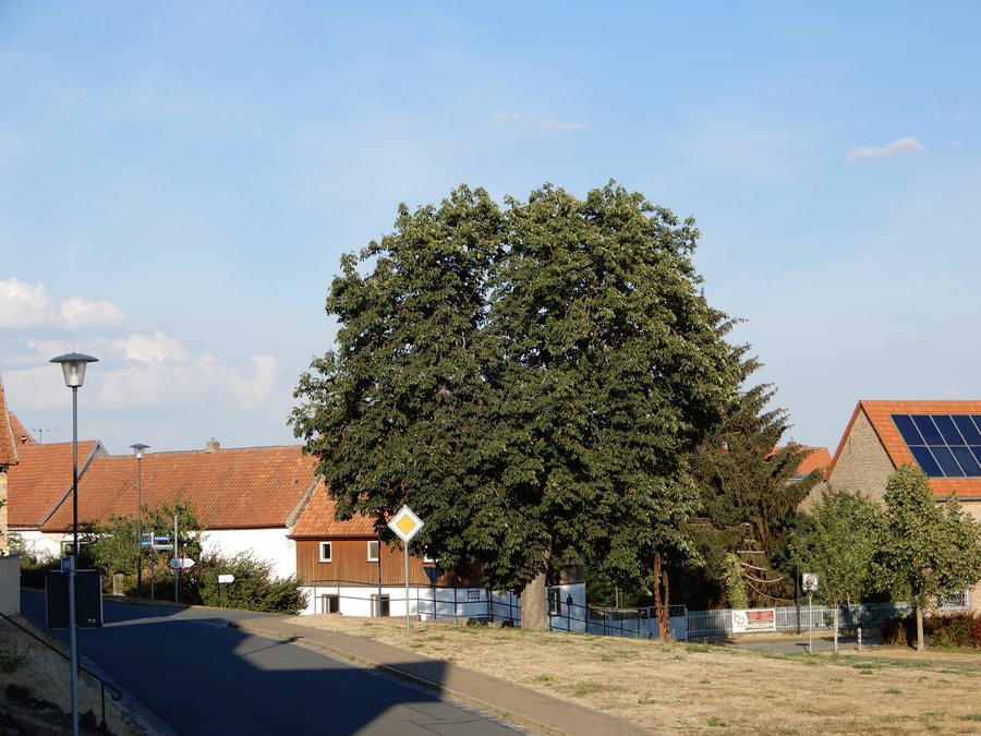 File:Blick auf Schielo.jpg