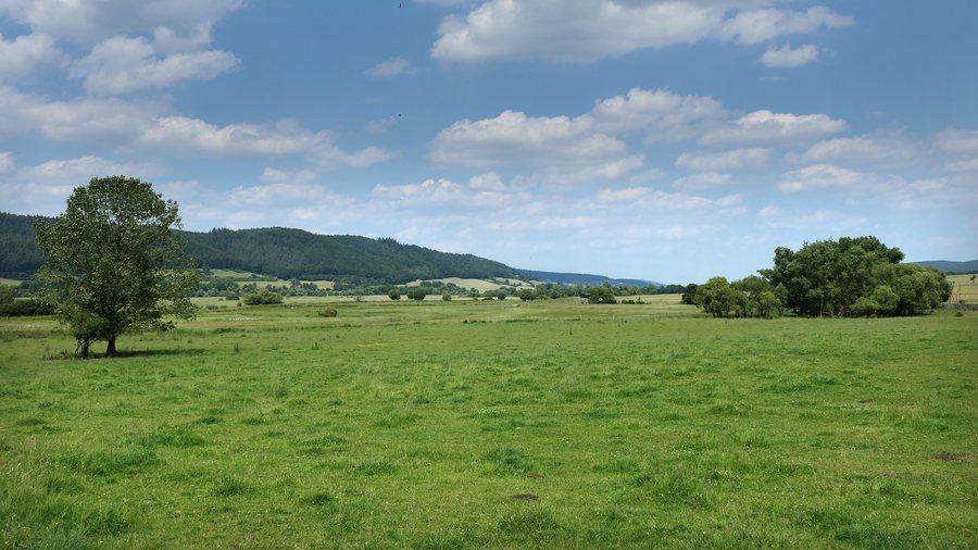 Bruchwiesen bei Mengshausen im Landkreis Hersfeld-Rotenburg (3)