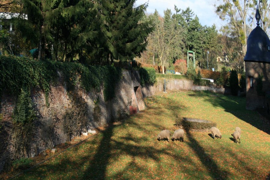 File:79 (1) Burggraben und Park Nörvenich.jpg