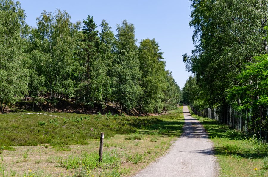 File:Brüggen, Brachter Wald, 2020-06 CN-01.jpg