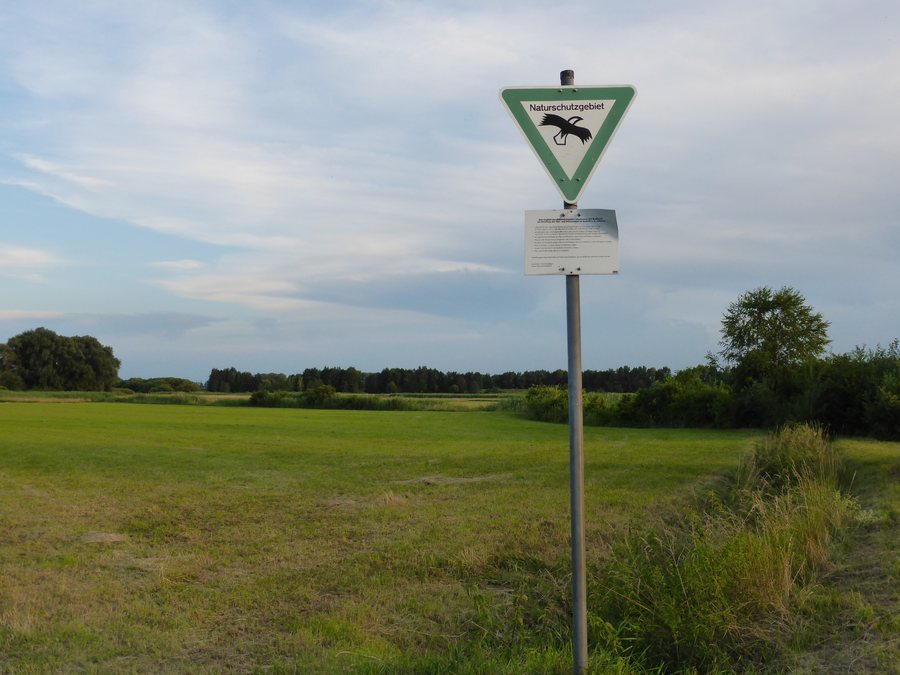 File:Donauauen-11.jpg