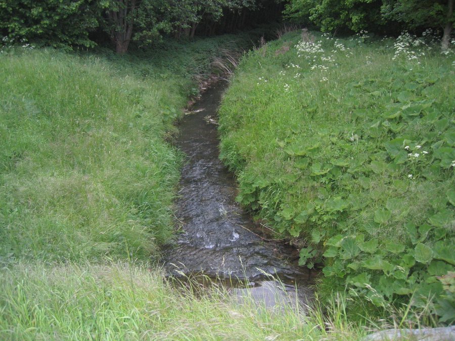 File:Preußisch oldendorf Mai 2009 (13).jpg