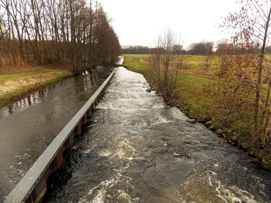 File:Fischtreppe am Wehr Gresse Bild 1.jpg