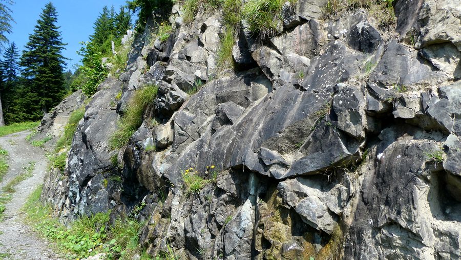 File:2024 Obermaiselstein Bolsterlang Bolgenkonglomerat 001.jpg