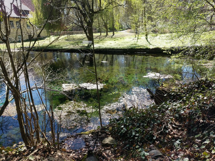 File:Rasespring Tiefenbrunn Rosdorf 001.jpg