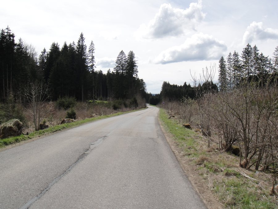 File:Apfeltrang 09.JPG