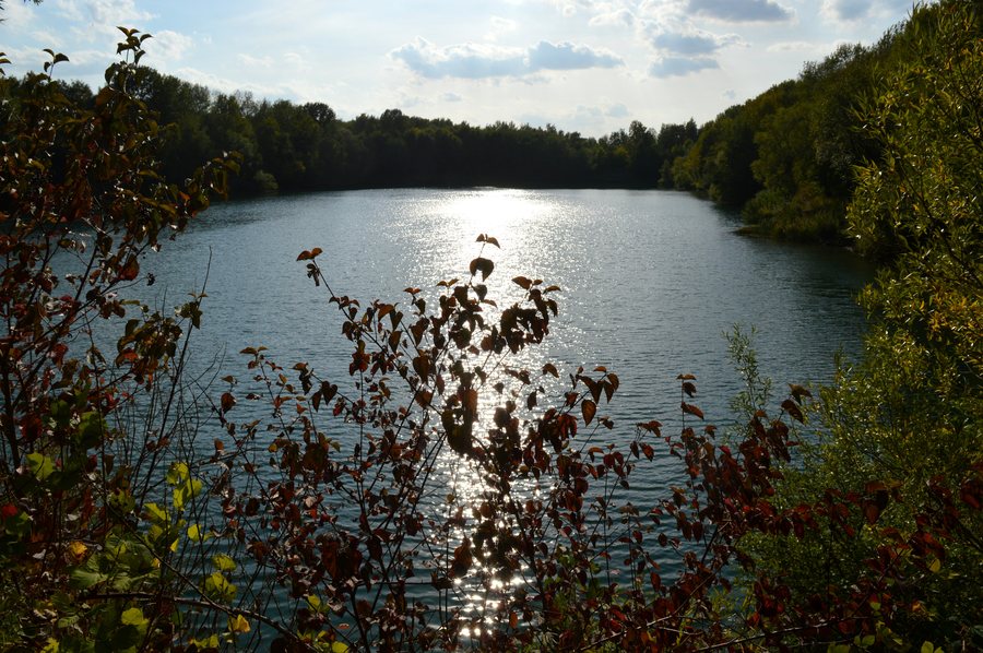 File:LSG Lengede-Broistedt - Klärteich 11 (3).jpg