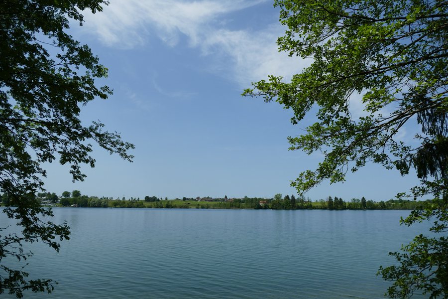 View over the Riegsee from the eastern shore towards Hofheim