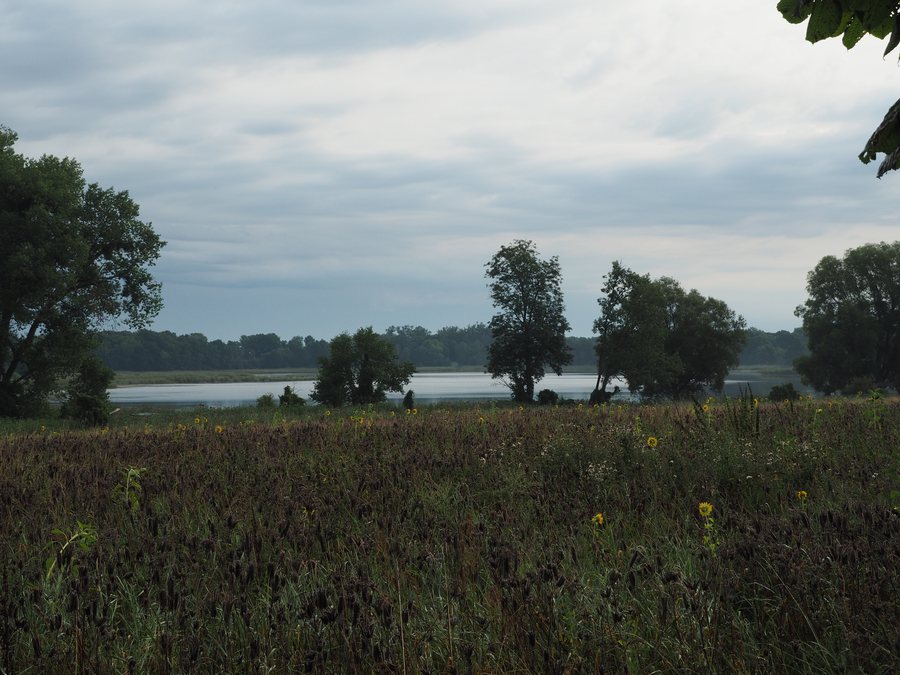 File:Lübkowsee August 2021.jpg