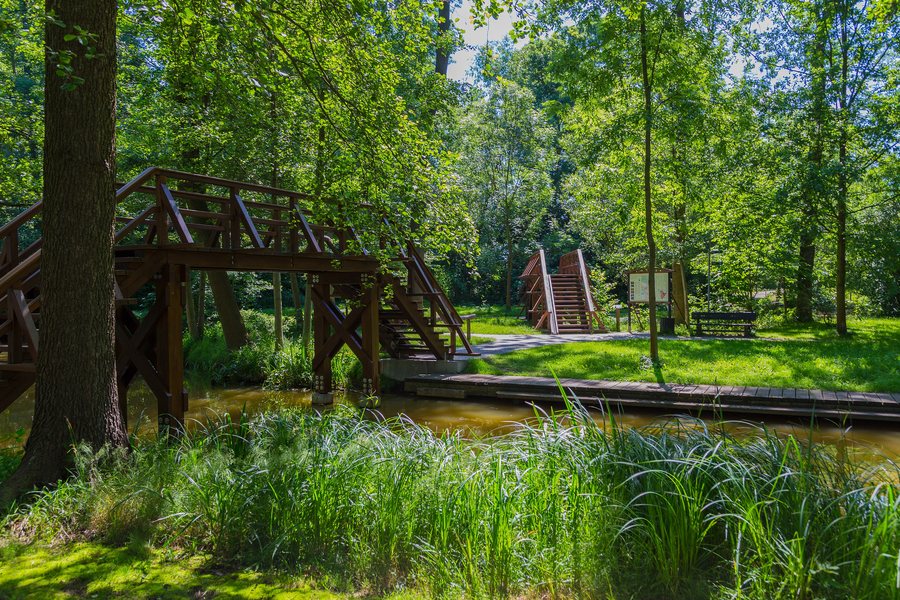 File:Naturhafen Raddusch 01.jpg