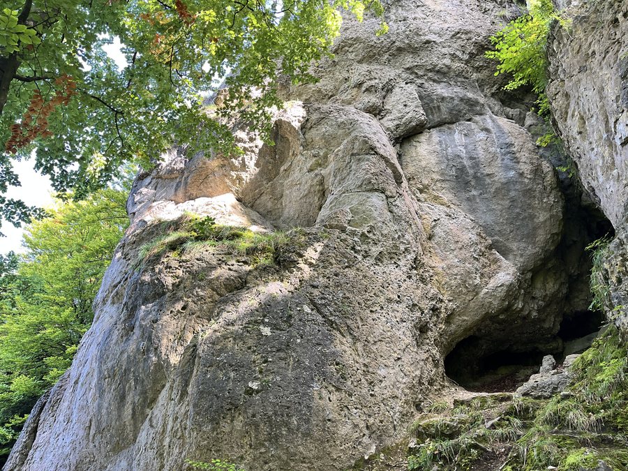 Frankenjura climbing rock