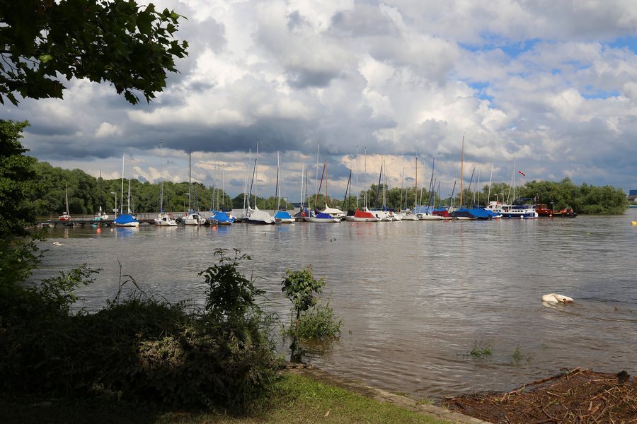 File:Walluf Rhein 05.JPG