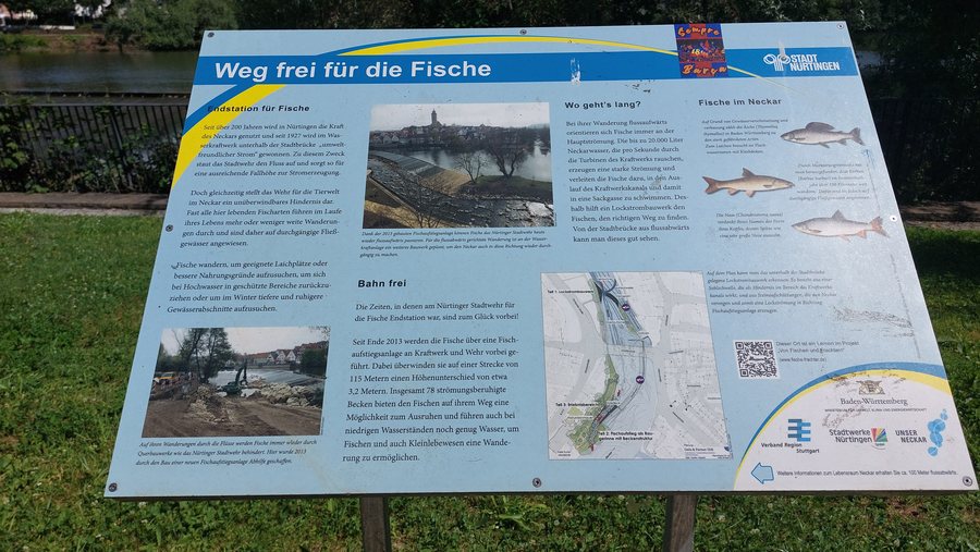 File:Fischtreppe in Nürtingen am Neckarufer.jpg